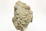 Sparkling Green Druzy Quartz Formation on Metal Stand #209024-1